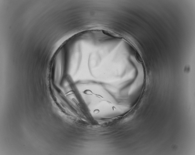 X0000113201149200910011250