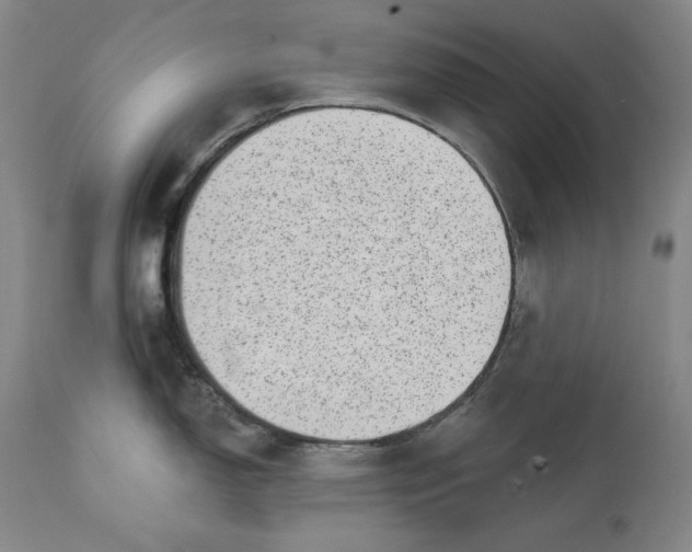 X0000113201150200910011250