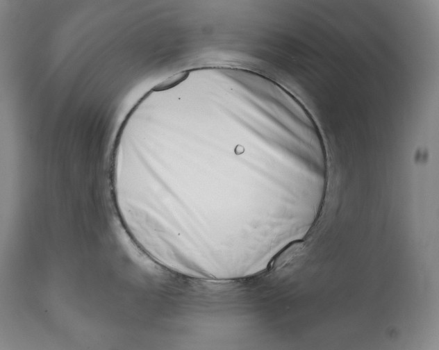 X0000113201152200910011250