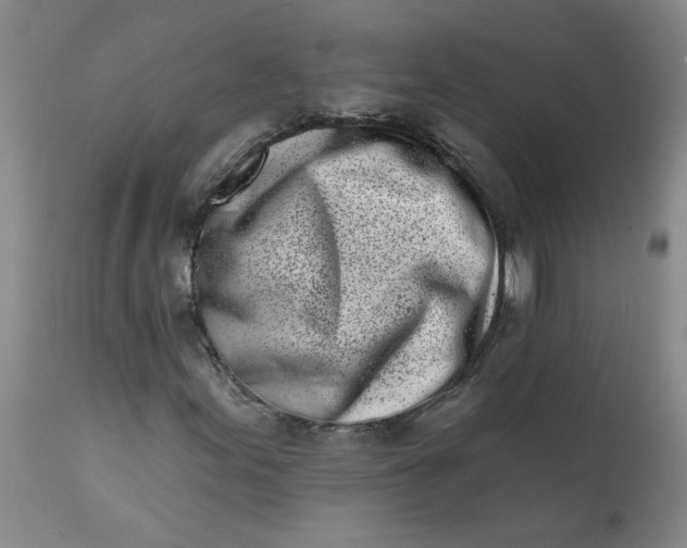 X0000113201155200910011249