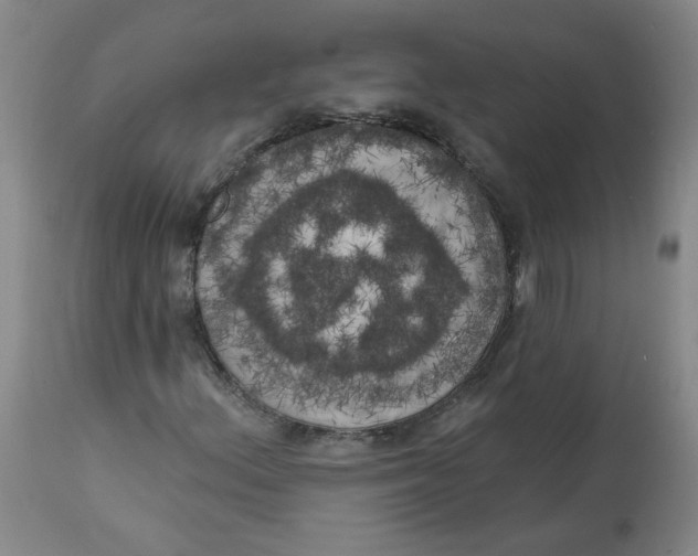 X0000113201156200910011249