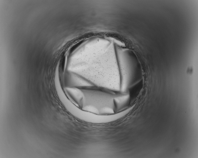 X0000113201157200910011249