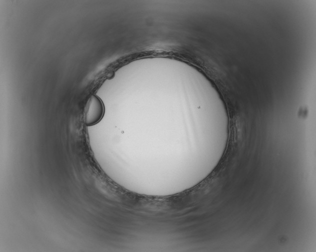 X0000113201158200910011249