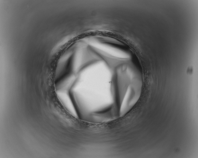 X0000113201159200910011249