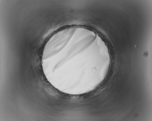 X0000113201160200910011249