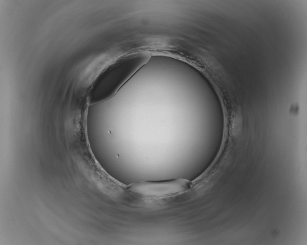 X0000113201161200910011249