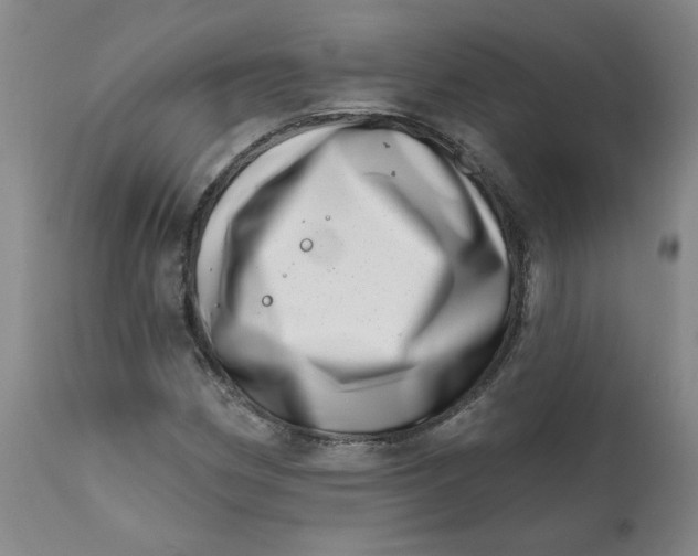 X0000113201162200910011249