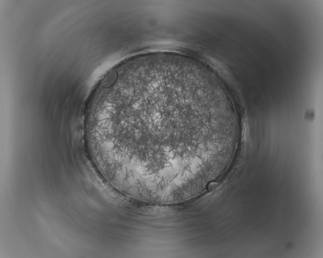 X0000113201164200910011249