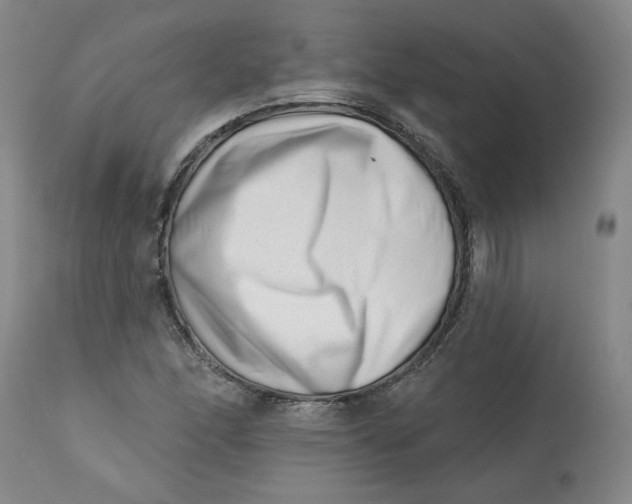 X0000113201166200910011249