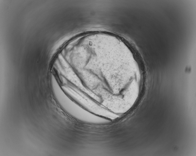 X0000113201167200910011249