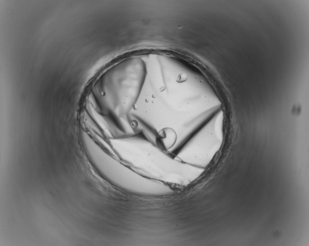 X0000113201168200910011249