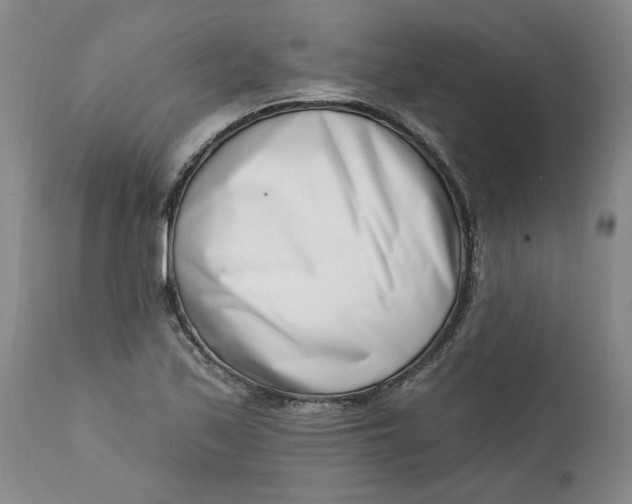 X0000113201171200910011249