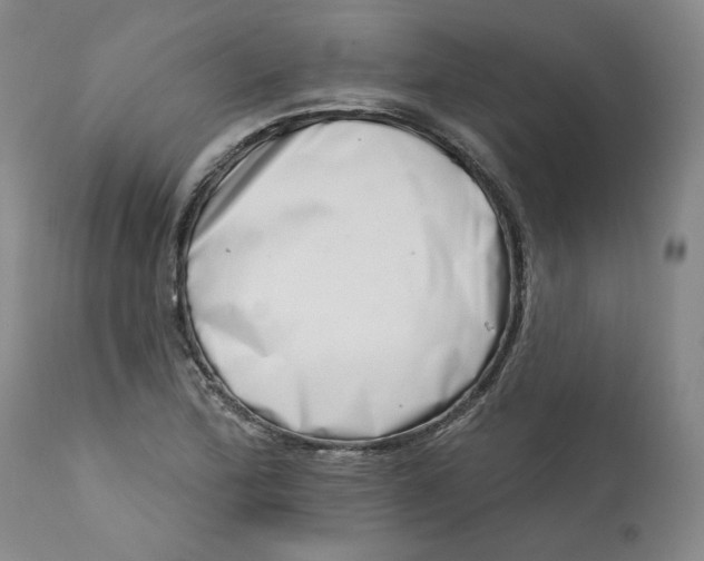 X0000113201172200910011249