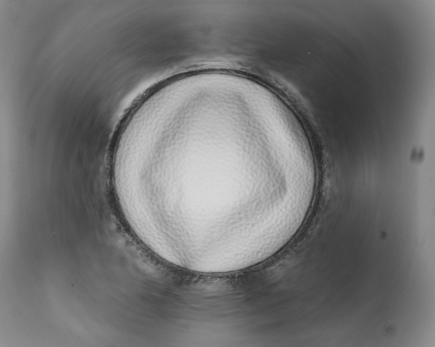 X0000113201174200910011249