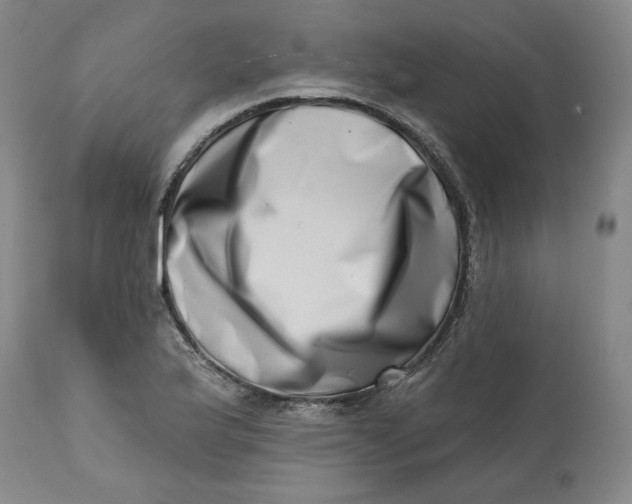 X0000113201175200910011249