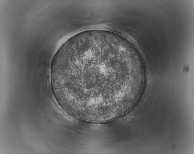 X0000113201176200910011249