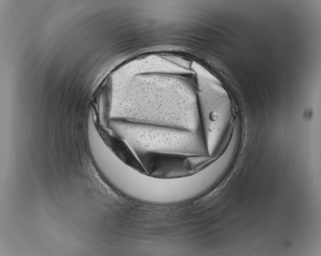 X0000113201177200910011249