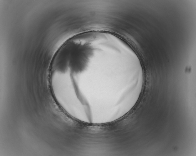 X0000113201182200910011249