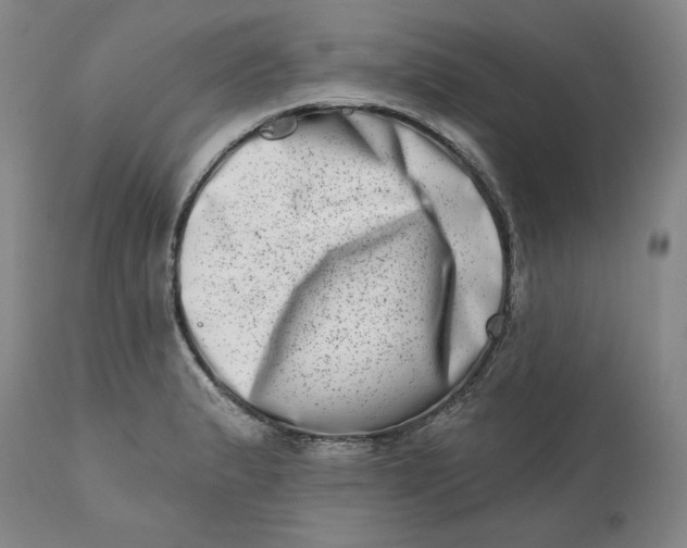 X0000113201183200910011249