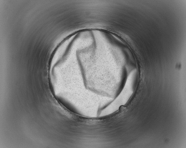 X0000113201184200910011249