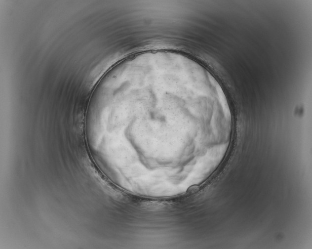 X0000113201185200910011249