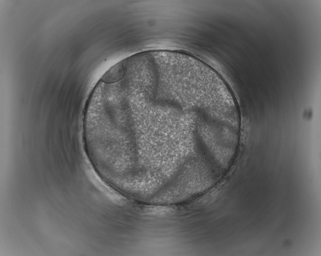 X0000113201187200910011249