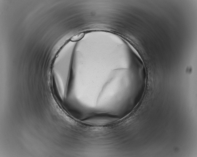 X0000113201188200910011249