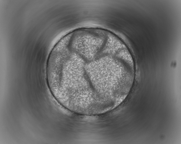 X0000113201191200910011249