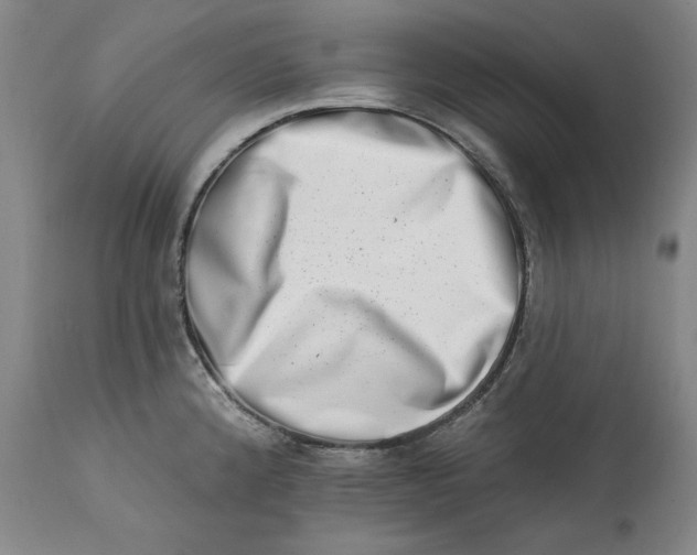 X0000113201192200910011249