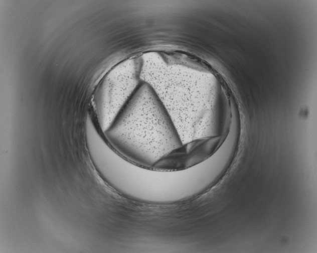 X0000113201193200910011249