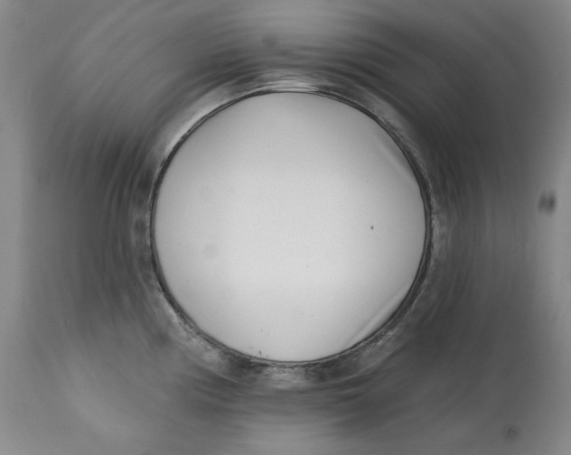 X0000113201194200910011249