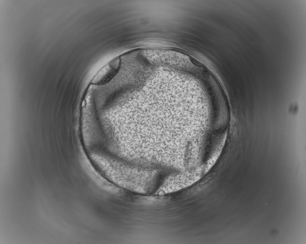 X0000113201195200910011249