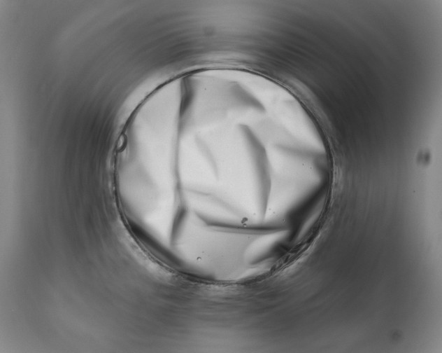 X0000113201196200910011249