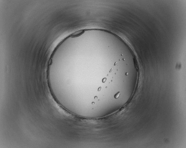 X0000113201197200910011249