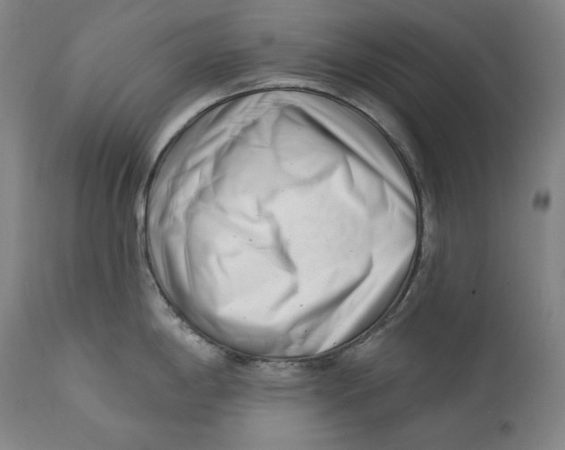 X0000113201198200910011248