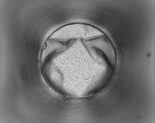 X0000113201199200910011248