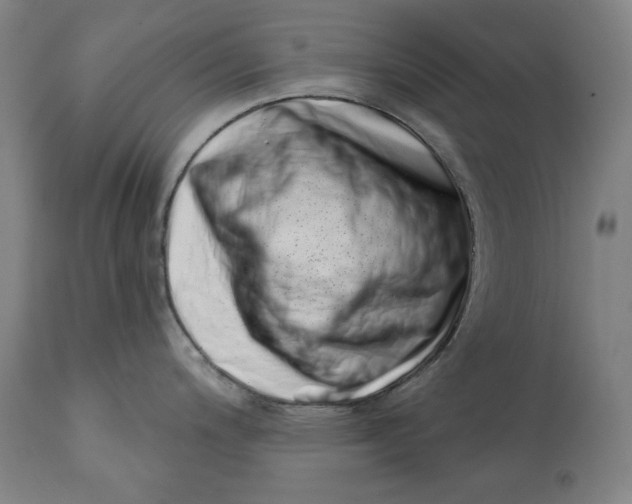 X0000113201200200910011248