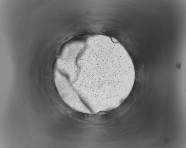 X0000113201201200910011248