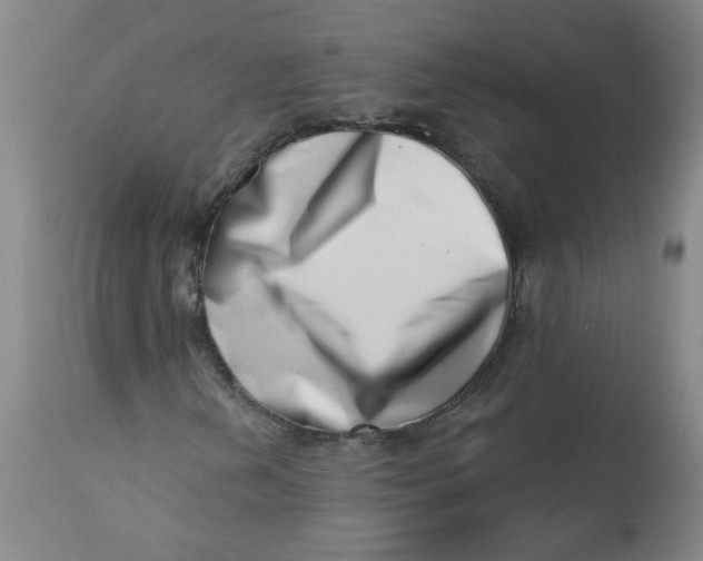 X0000113201202200910011248