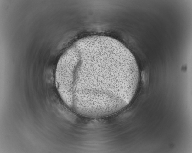 X0000113201203200910011248