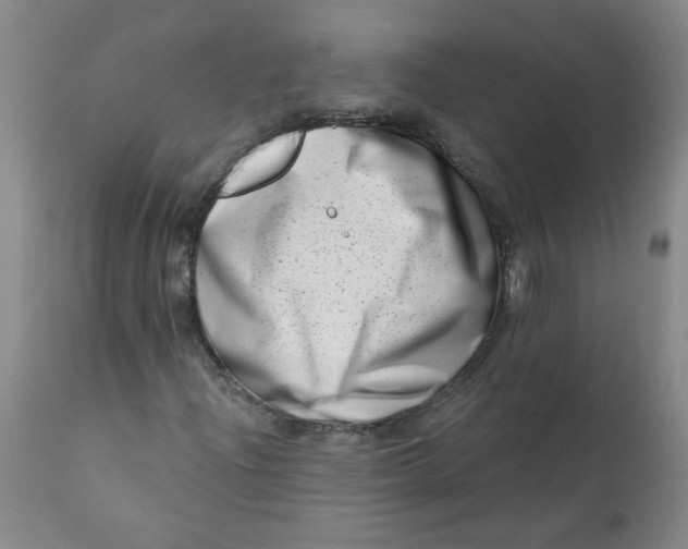 X0000113201204200910011248