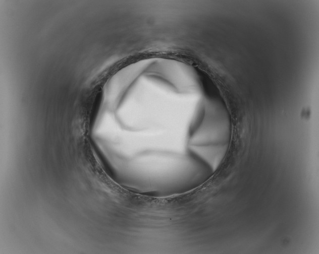 X0000113201206200910011248