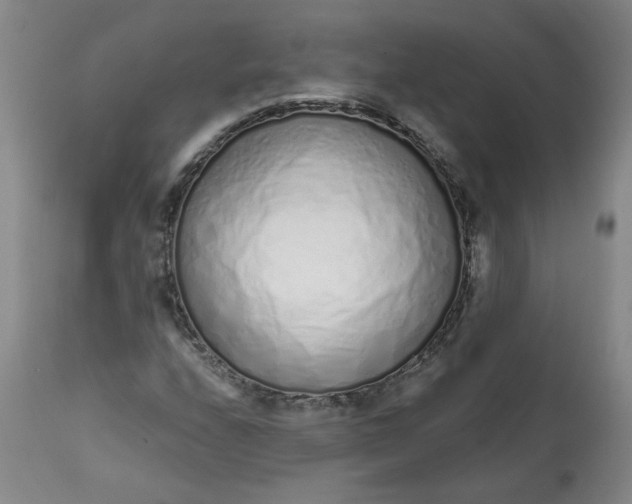 X0000113201208200910011248