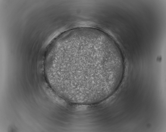 X0000113201211200910011248