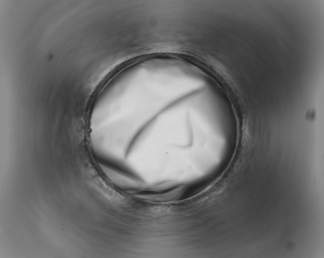 X0000113201212200910011248