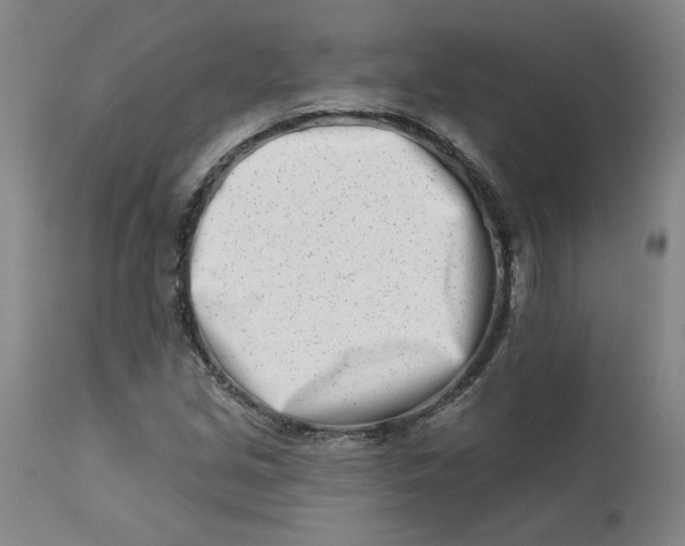 X0000113201213200910011248