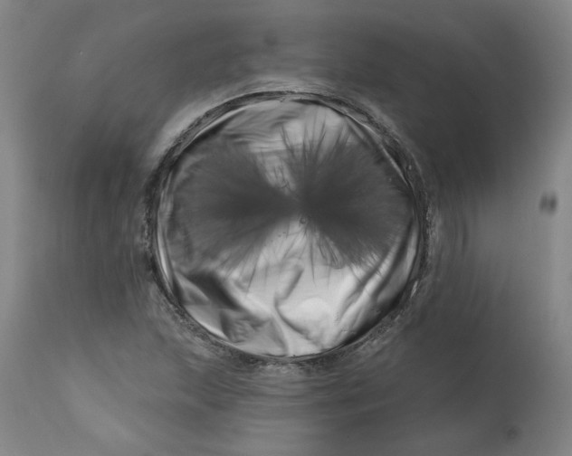 X0000113201215200910011248