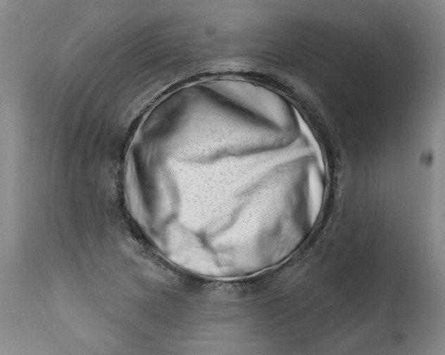 X0000113201217200910011248