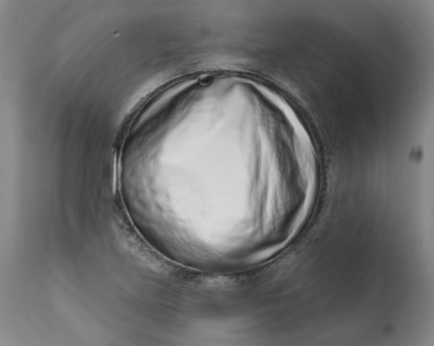 X0000113201219200910011248