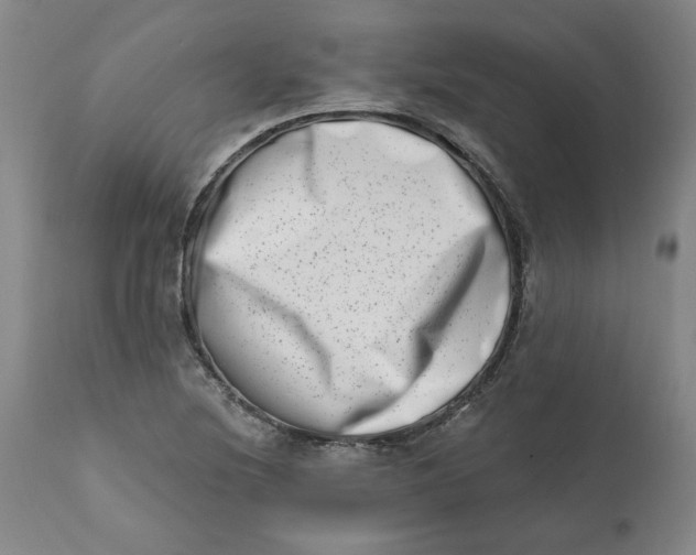 X0000113201220200910011248